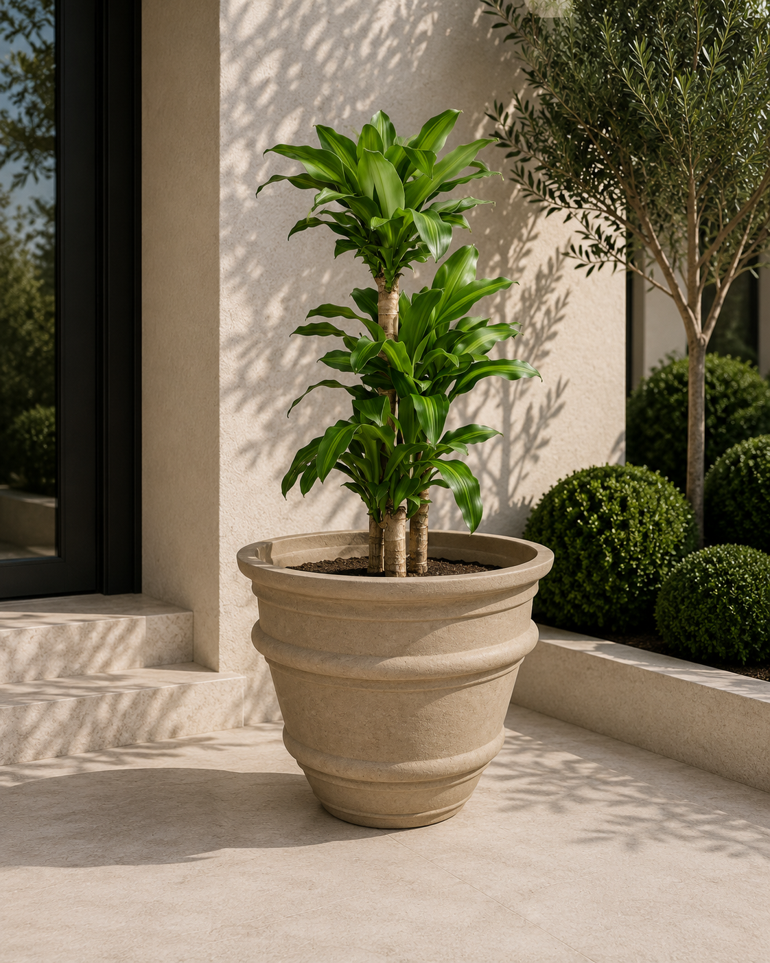 Mela Planter