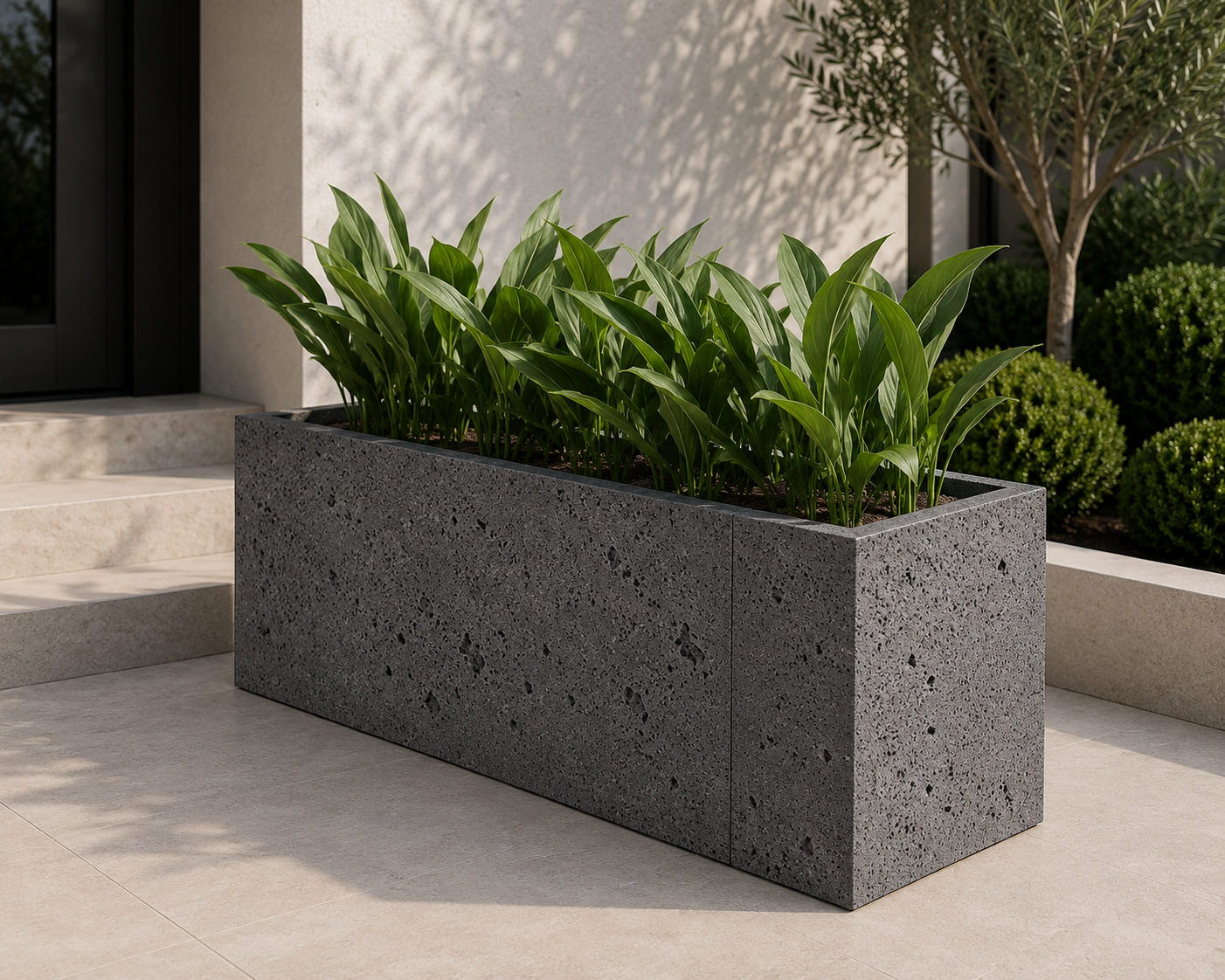 Limitless Planter