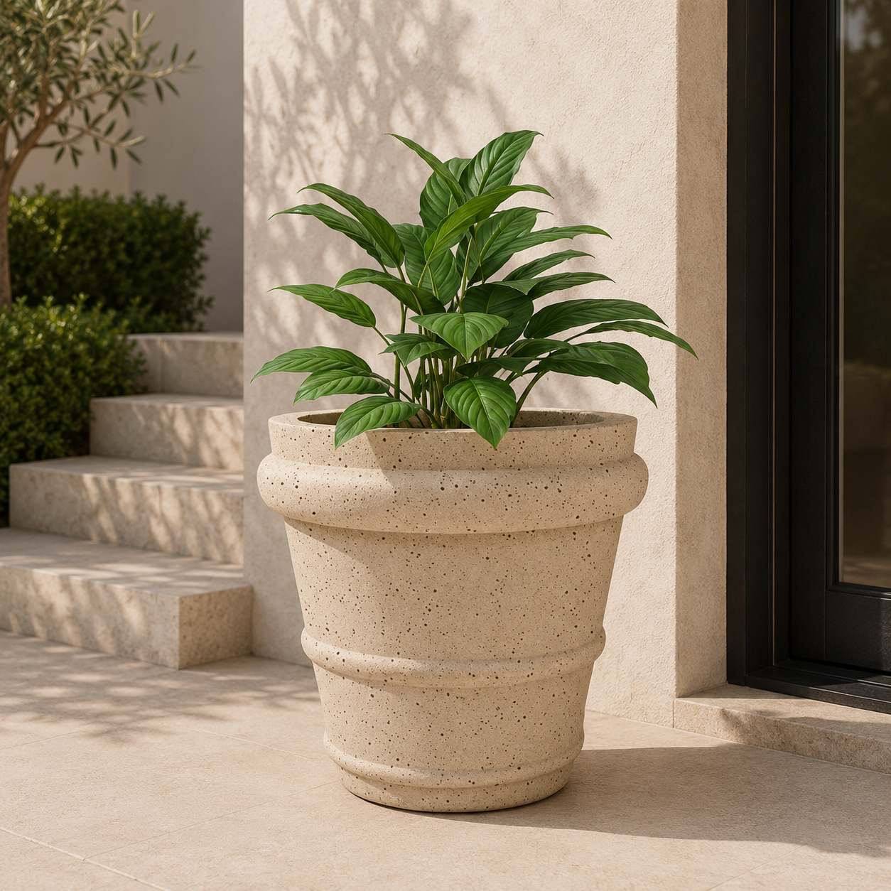 Cora Planter