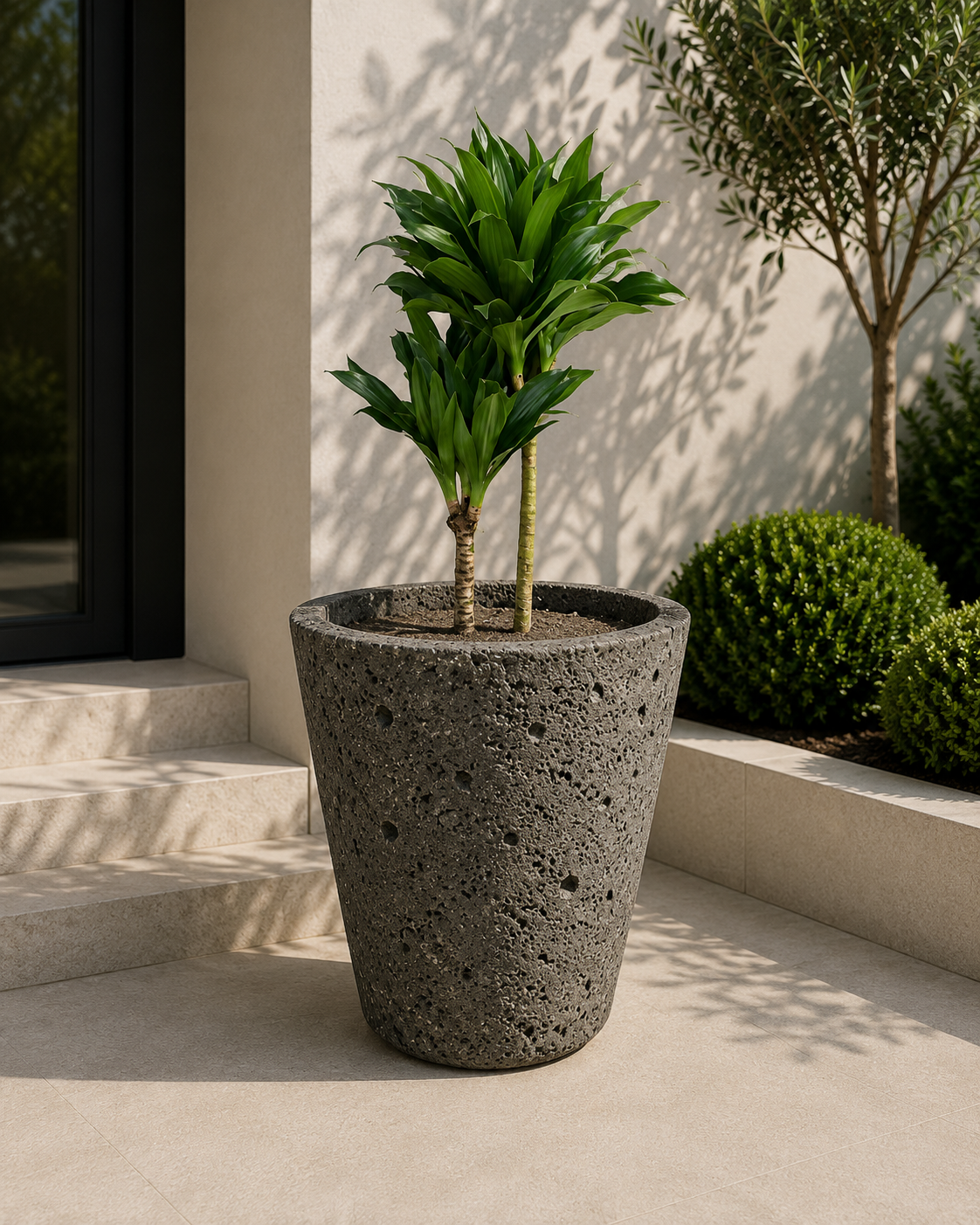 Lyra Planter
