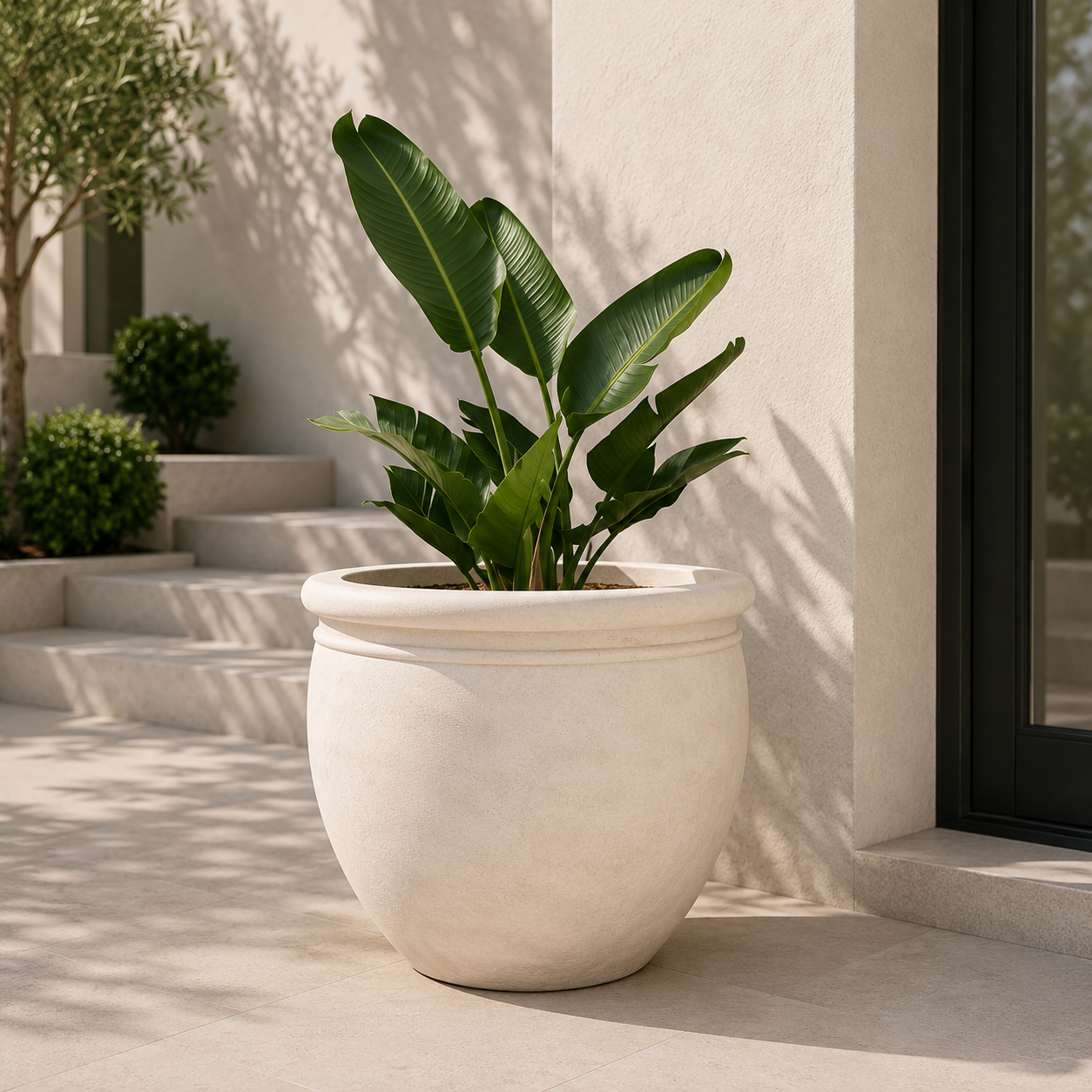 Dora Planter